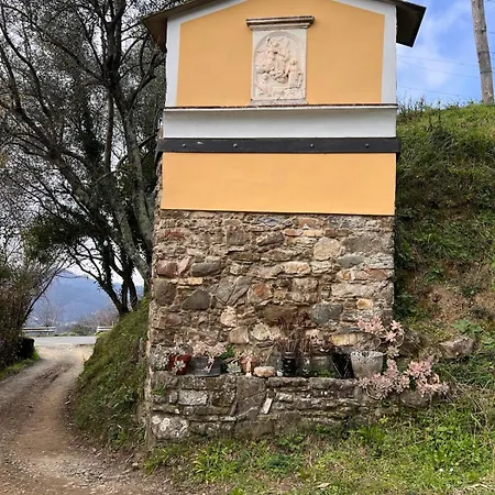 La Madonnina-house In The Vineyard 度假居 *